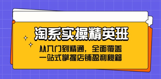 (12276期)淘系实操精英班:从入门到精通,全面覆盖,一站式掌握店铺盈利秘籍-轻创社项目网
