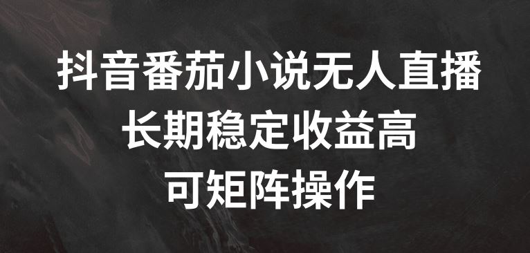 抖音番茄小说无人直播,长期稳定收益高,可矩阵操作【揭秘】-轻创社项目网