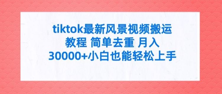 tiktok最新风景视频搬运教程 简单去重 月入3W+小白也能轻松上手【揭秘】-轻创社项目网