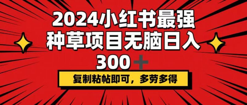 (12336期)2024小红书最强种草项目,无脑日入300+,复制粘帖即可,多劳多得-轻创社项目网