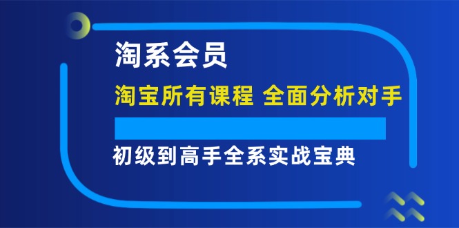(12055期)淘系会员【淘宝所有课程,全面分析对手】,初级到高手全系实战宝典-轻创社项目网