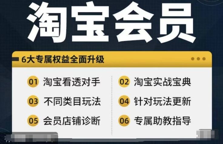 淘宝会员【淘宝所有课程,全面分析对手】,初级到高手全系实战宝典-轻创社项目网