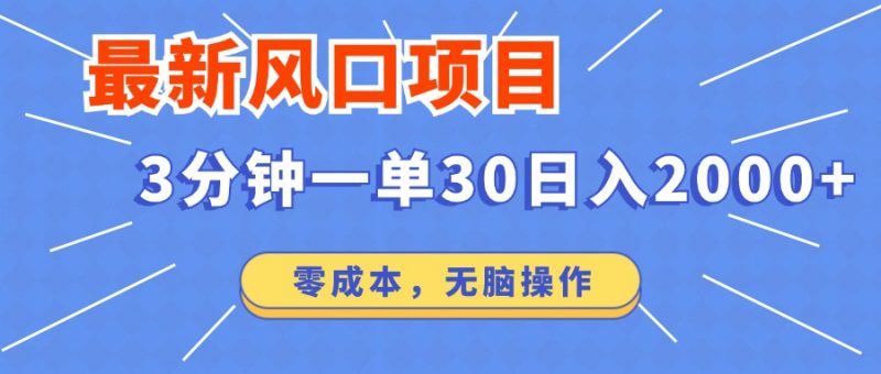 (12272期)最新风口项目操作,3分钟一单30。日入2000左右,零成本,无脑操作。-轻创社项目网