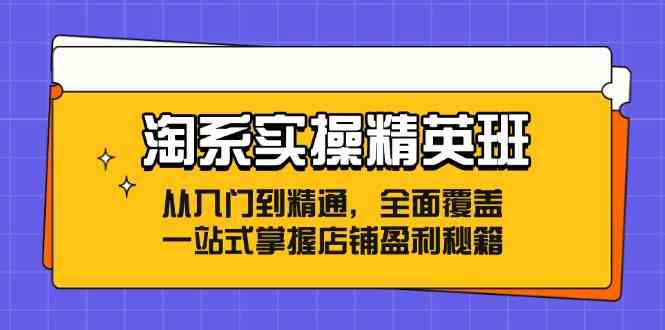 淘系实操精英班:从入门到精通,全面覆盖,一站式掌握店铺盈利秘籍-轻创社项目网
