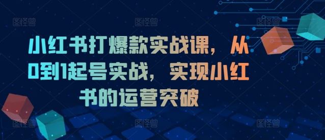 小红书打爆款实战课,从0到1起号实战,实现小红书的运营突破-轻创社项目网