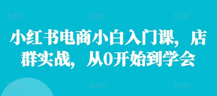 小红书电商小白入门课,店群实战,从0开始到学会-轻创社项目网
