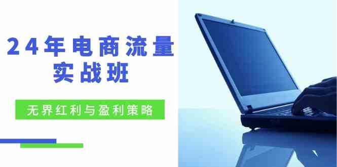 电商流量实战班:无界红利与盈利策略,终极提升/关键词优化/精准人群拓展/创新玩法-轻创社项目网