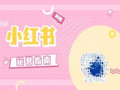 小红书运营指南,没有套路,全是经验-轻创社项目网