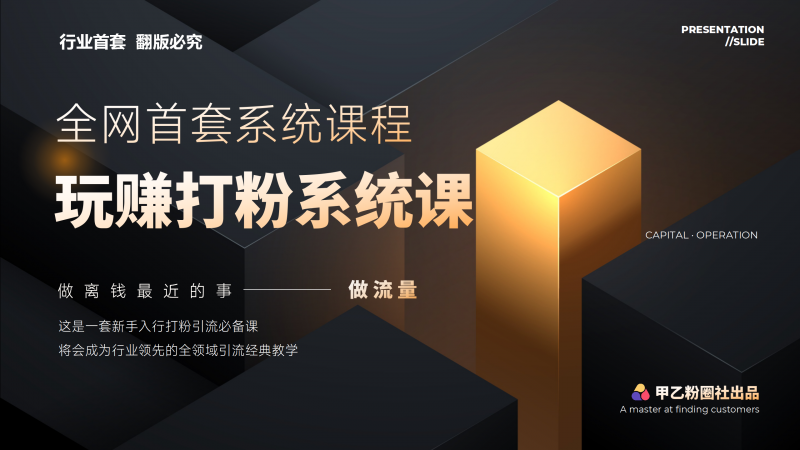 (12037期)全网首套系统打粉课,日入3000+,手把手各行引流SOP团队实战教程-轻创社项目网