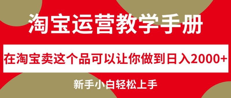 （12351期）淘宝运营教学手册，在淘宝卖这个品可以让你做到日入2000+，新手小白轻…-轻创社项目网