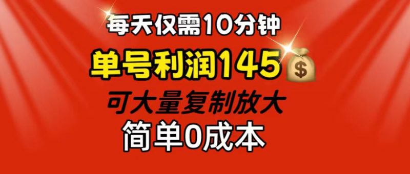 (12027期)每天仅需10分钟,单号利润145 可复制放大 简单0成本-轻创社项目网