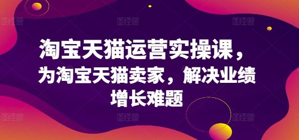 淘宝天猫运营实操课,为淘宝天猫卖家,解决业绩增长难题-轻创社项目网