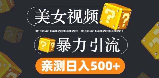 搬运tk美女视频全网分发,日引s粉300+,轻松变现,不限流量不封号【揭秘】-轻创社项目网