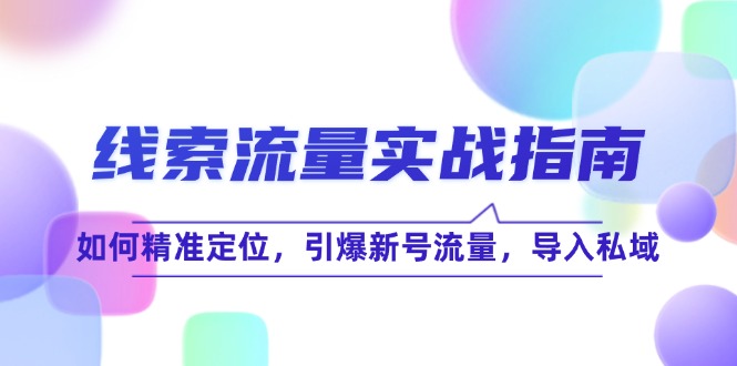 （12382期）线 索 流 量-实战指南：如何精准定位，引爆新号流量，导入私域-轻创社项目网