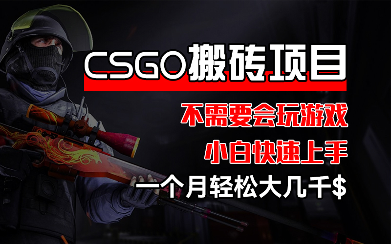 (12332期)CSGO 装备搬砖项目,操作简单,不需要会玩游戏,小白也能快速上手,一…-轻创社项目网