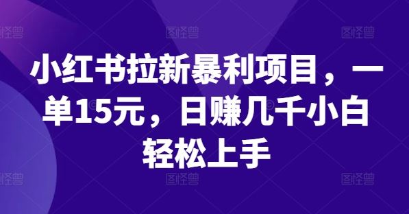 小红书拉新暴利项目,一单15元,日赚几千小白轻松上手【揭秘】-轻创社项目网