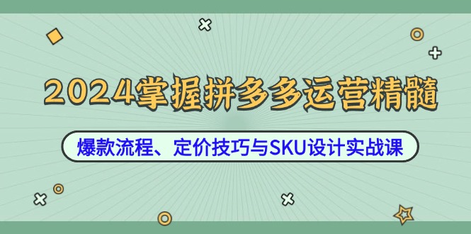 (12703期)2024掌握拼多多运营精髓:爆款流程、定价技巧与SKU设计实战课-轻创社项目网