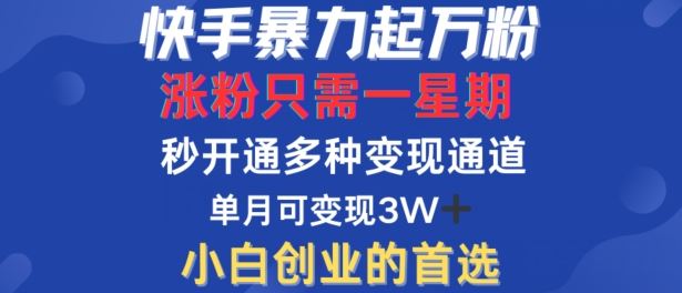 快手暴力起万粉,涨粉只需一星期,多种变现模式,直接秒开万合,单月变现过W【揭秘】-轻创社项目网