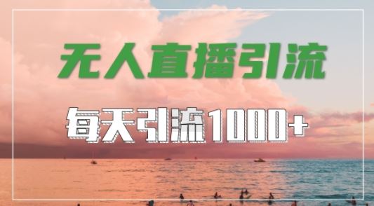 抖音快手视频号全平台通用，无人直播引流法，超暴力引流1000+高质量精准创业粉【揭秘】-轻创社项目网
