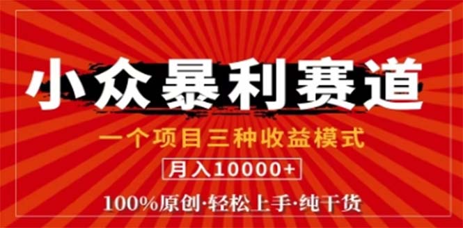 (12756期)视频号最新爆火赛道,三种可收益模式,0粉新号条条原创条条热门 日入1000+-轻创社项目网