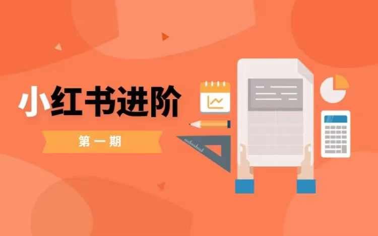 小红书进阶篇,零基础小白实战课,普通人变现的课程-轻创社项目网