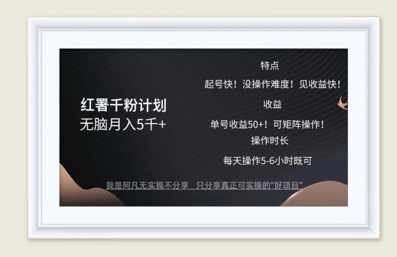 (12560期)红薯千粉计划无脑月入5千+!既做既赚!-轻创社项目网