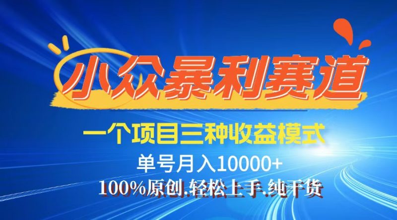 (12579期)【老人言】-视频号爆火赛道,三种变现方式,0粉新号调调爆款-轻创社项目网