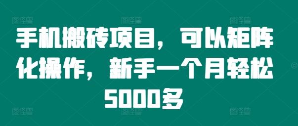 手机搬砖项目，可以矩阵化操作，新手一个月轻松5000多-轻创社项目网