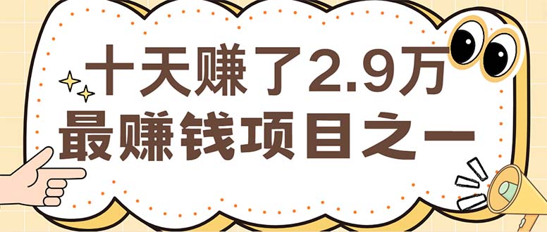 (12491期)闲鱼小红书赚钱项目之一,轻松月入6万+项目-轻创社项目网