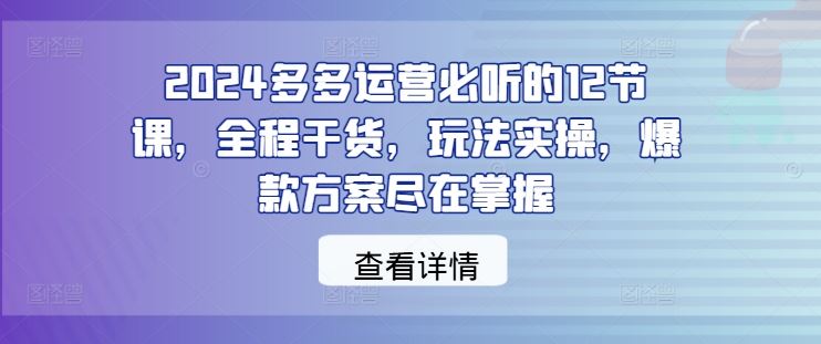 2024多多运营必听的12节课,全程干货,玩法实操,爆款方案尽在掌握-轻创社项目网