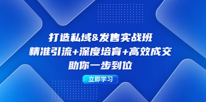 (12642期)打造私域&发售实操班:精准引流+深度培育+高效成交,助你一步到位-轻创社项目网