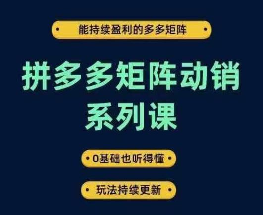 拼多多矩阵动销系列课,能持续盈利的多多矩阵,0基础也听得懂,玩法持续更新-轻创社项目网