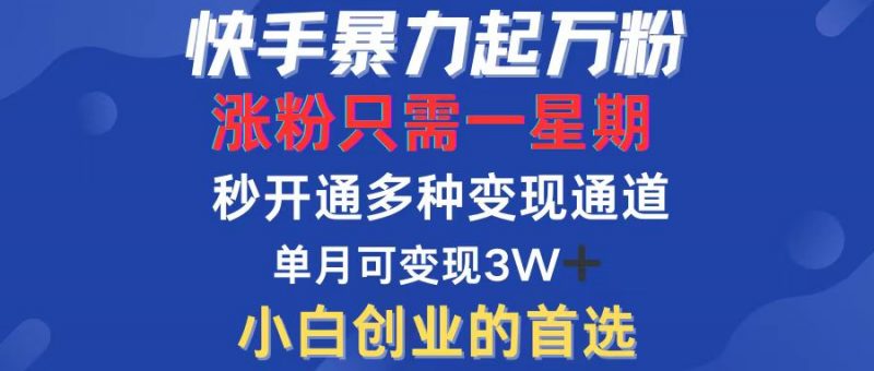 (12651期)快手暴力起万粉,涨粉只需一星期,多种变现模式,直接秒开万合,小白创…-轻创社项目网