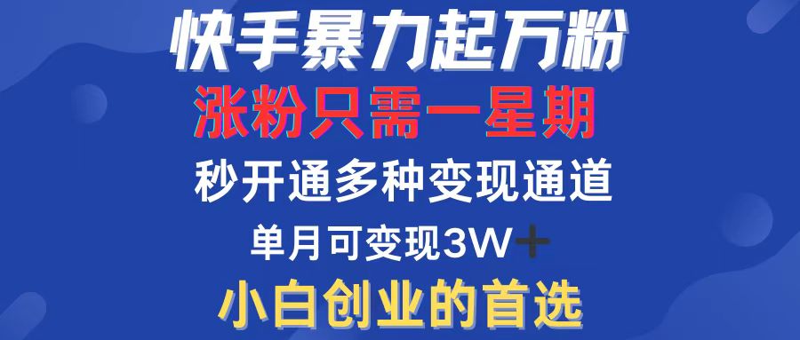 图片[1]-（12651期）快手暴力起万粉，涨粉只需一星期，多种变现模式，直接秒开万合，小白创…