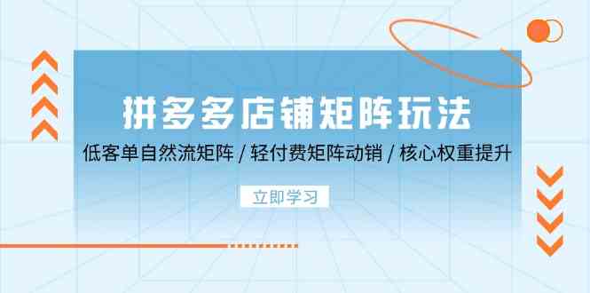 拼多多店铺矩阵玩法:低客单自然流矩阵 / 轻付费矩阵 动销 / 核心权重提升-轻创社项目网