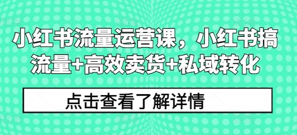 小红书流量运营课,小红书搞流量+高效卖货+私域转化-轻创社项目网