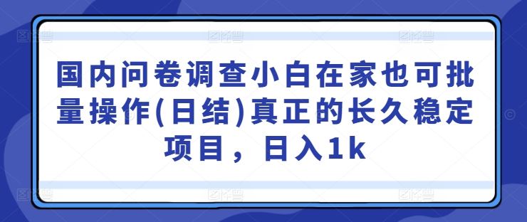 国内问卷调查小白在家也可批量操作(日结)真正的长久稳定项目，日入1k【揭秘】-轻创社项目网