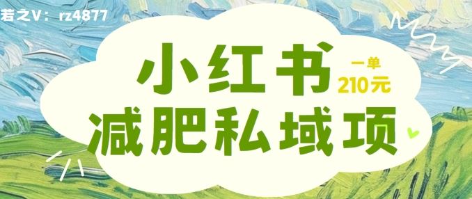 小红书减肥粉,私域变现项目,一单就达210元,小白也能轻松上手【揭秘】-轻创社项目网