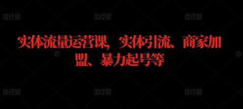 实体流量运营课,实体引流、商家加盟、暴力起号等-轻创社项目网