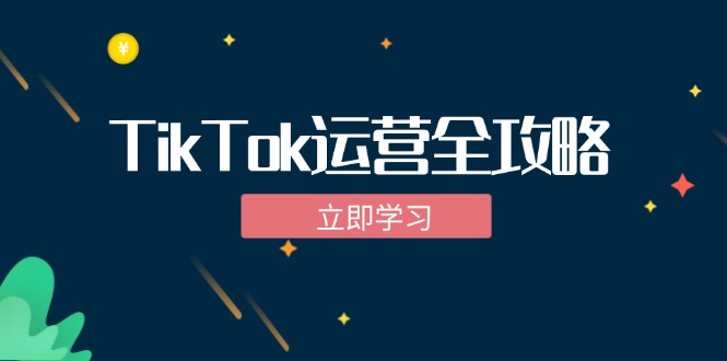 (12739期)TikTok实战运营全攻略:从下载软件到变现,抖音海外版实操教程-轻创社项目网