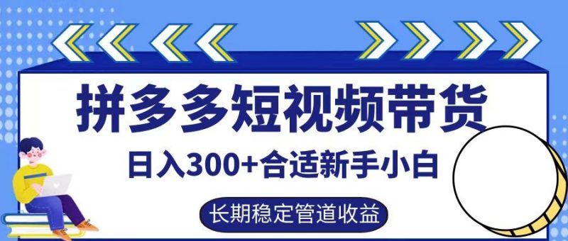 拼多多短视频带货日入300+,实操账户展示看就能学会-轻创社项目网