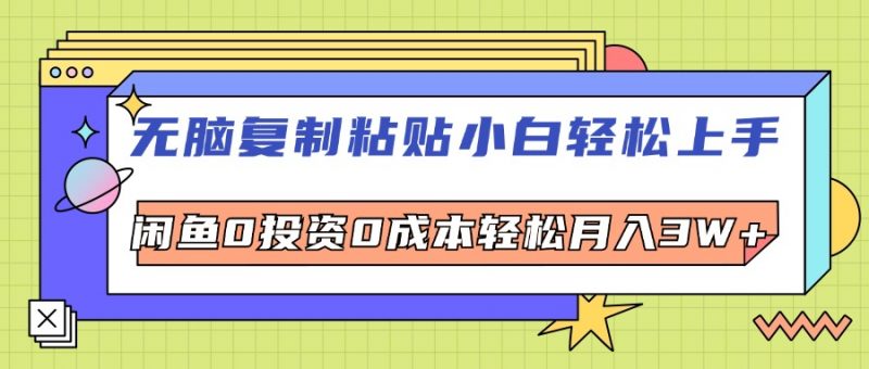 (12431期)无脑复制粘贴,小白轻松上手,电商0投资0成本轻松月入3W+-轻创社项目网