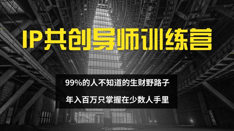 （12504期）IP共创导师训练营 99%的人不知道的生财野路子 只掌握在少数人手里-轻创社项目网