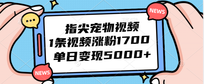(12549期)指尖宠物视频,1条视频涨粉1700,单日变现5000+-轻创社项目网