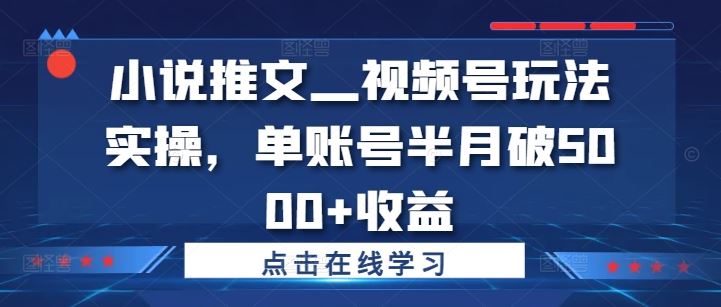 小说推文—视频号玩法实操,单账号半月破5000+收益-轻创社项目网