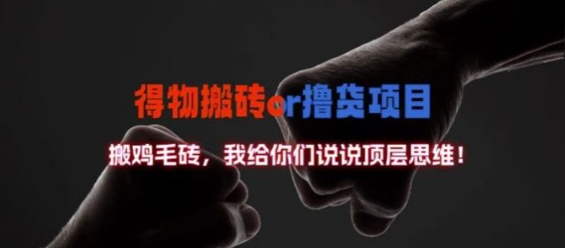得物搬砖撸货项目?掰下数据,我给你们说说顶层思维【揭秘】-轻创社项目网