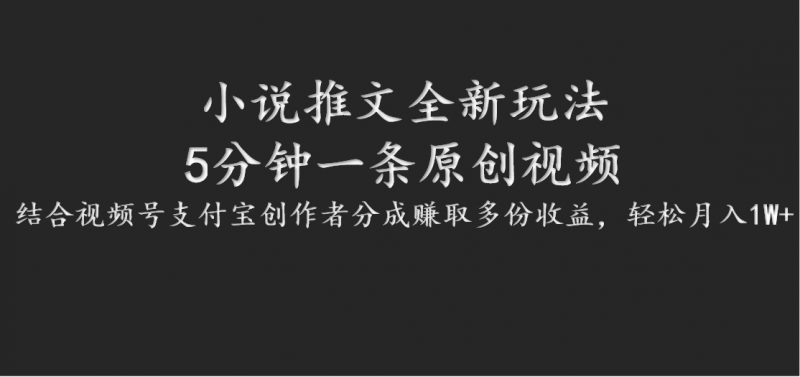 小说推文全新玩法,5分钟一条原创视频,结合视频号支付宝创作者分成赚取多份收益-轻创社项目网
