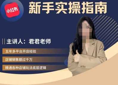 君君-小红书电商从入门到精通,新手实操指南-轻创社项目网