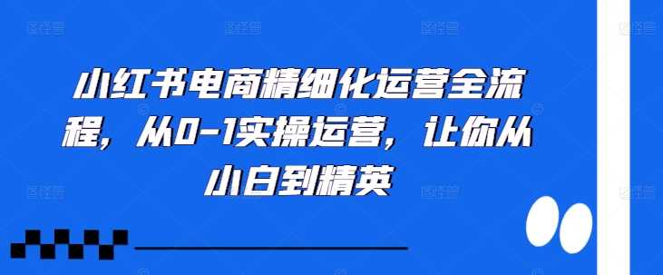 小红书电商精细化运营全流程,从0-1实操运营,让你从小白到精英-轻创社项目网