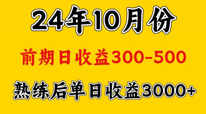 高手是怎么赚钱的.前期日收益500+熟练后日收益3000左右-轻创社项目网